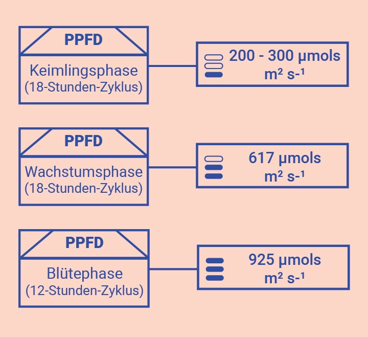 Optimiere Dein Wissen im Grow Room Optimiere Dein Wissen im Grow Room