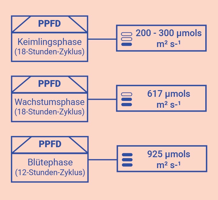 Optimiere Dein Wissen im Grow Room