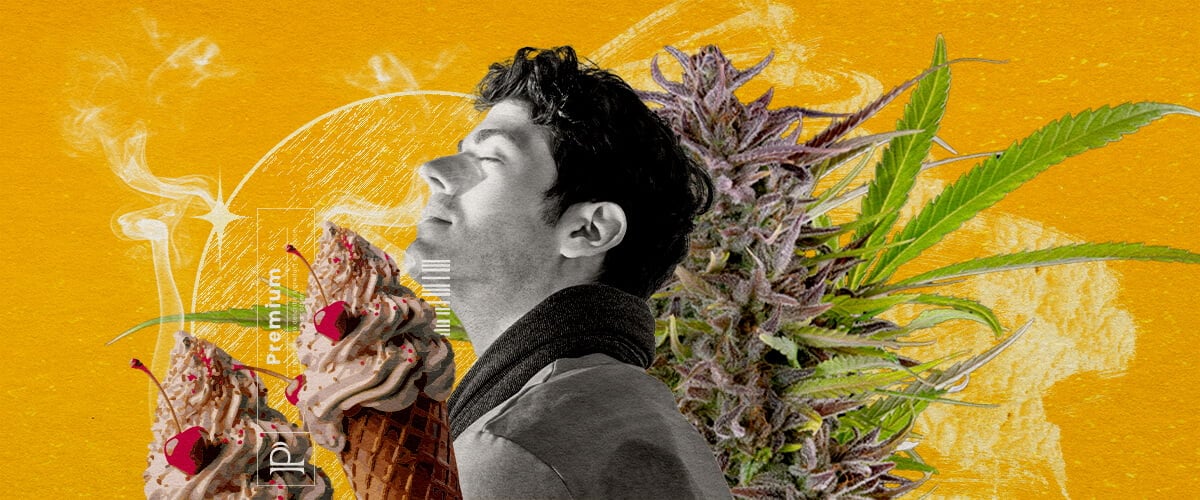 Geschmacks- und Aromaprofil der Sorte Gelato Eine Illustration eines Mannes mit geschlossenen Augen, der Rauch einatmet, umgeben von einem Cannabisknospe und zwei Eisbechern mit Kirschen, auf einem lebendigen gelben Hintergrund mit abstrakten Rauch-Effekten, die das Geschmacks- und Duftprofil der Gelato-Sorte Cannabis visuell erkunden.
