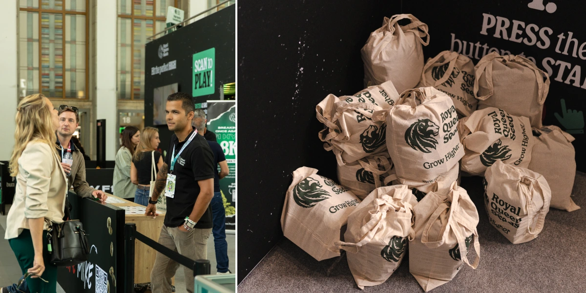 Entdecke den Stand von Royal Queen Seeds mit interaktiven Spielen, gebrandeten Geschenktaschen und Highlights des TYSON 2.0 Events.