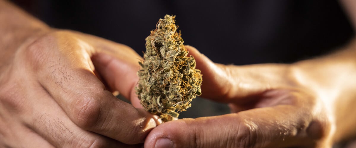 Das Wichtigste zuerst: Was sind Weed-Qualitätsstufen und warum sind sie wichtig?