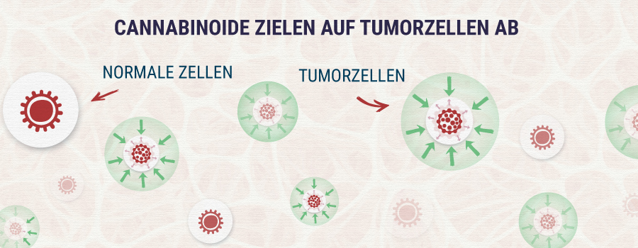 Cannabinoids-Targeting-Tumor-Cells