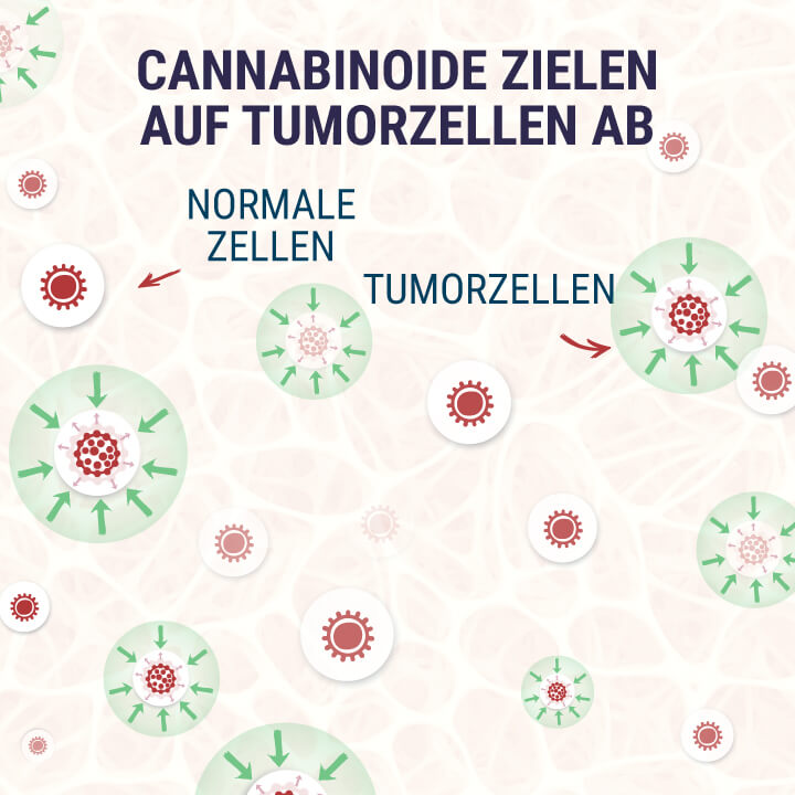 Cannabinoids-Targeting-Tumor-Cells