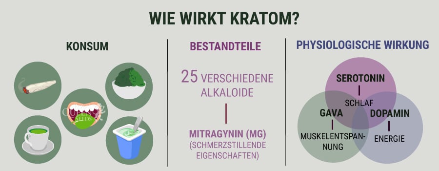 Wie Wirkt Kratom 