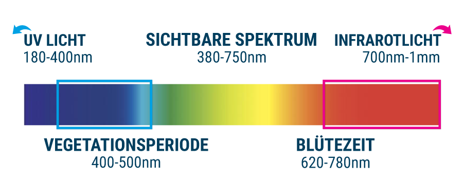 DAS FALSCHE LICHTSPEKTRUM DAS FALSCHE LICHTSPEKTRUM