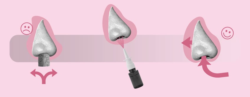 Nasal Spray Nasal Spray