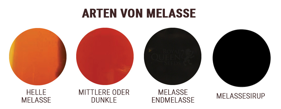 GESCHWEFELTE UND UNGESCHWEFELTE MELASSE GESCHWEFELTE UND UNGESCHWEFELTE MELASSE