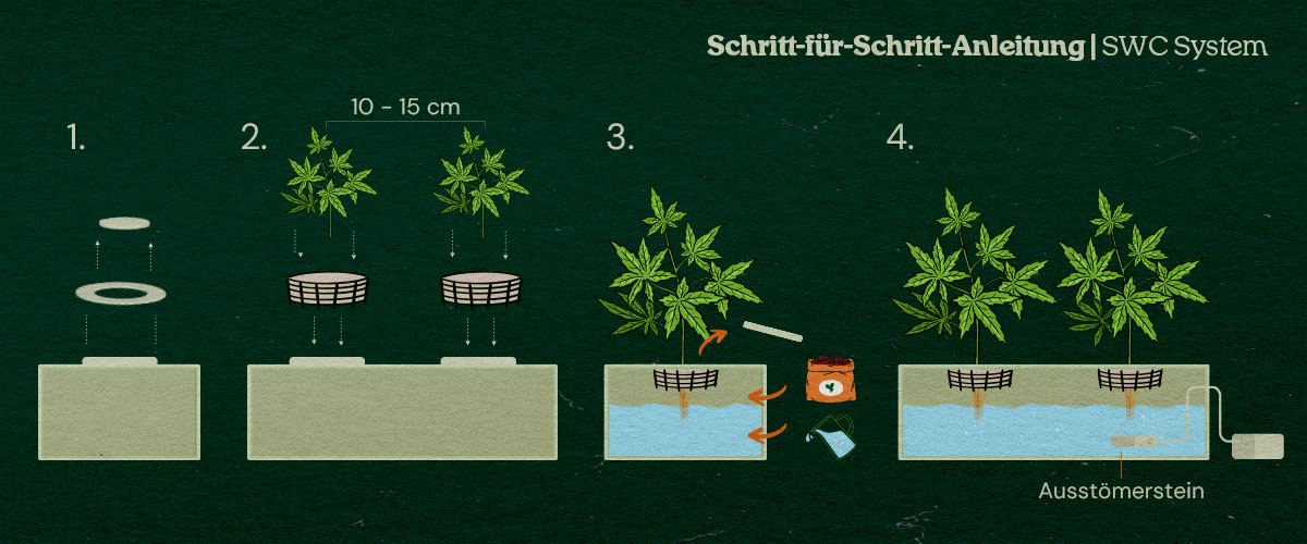 Anleitung: Ein Flachwasserkultur-System für Cannabis selbst aufbauen Anleitung: Ein Flachwasserkultur-System für Cannabis selbst aufbauen