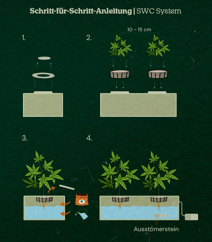 Anleitung: Ein Flachwasserkultur-System für Cannabis selbst aufbauen Anleitung: Ein Flachwasserkultur-System für Cannabis selbst aufbauen