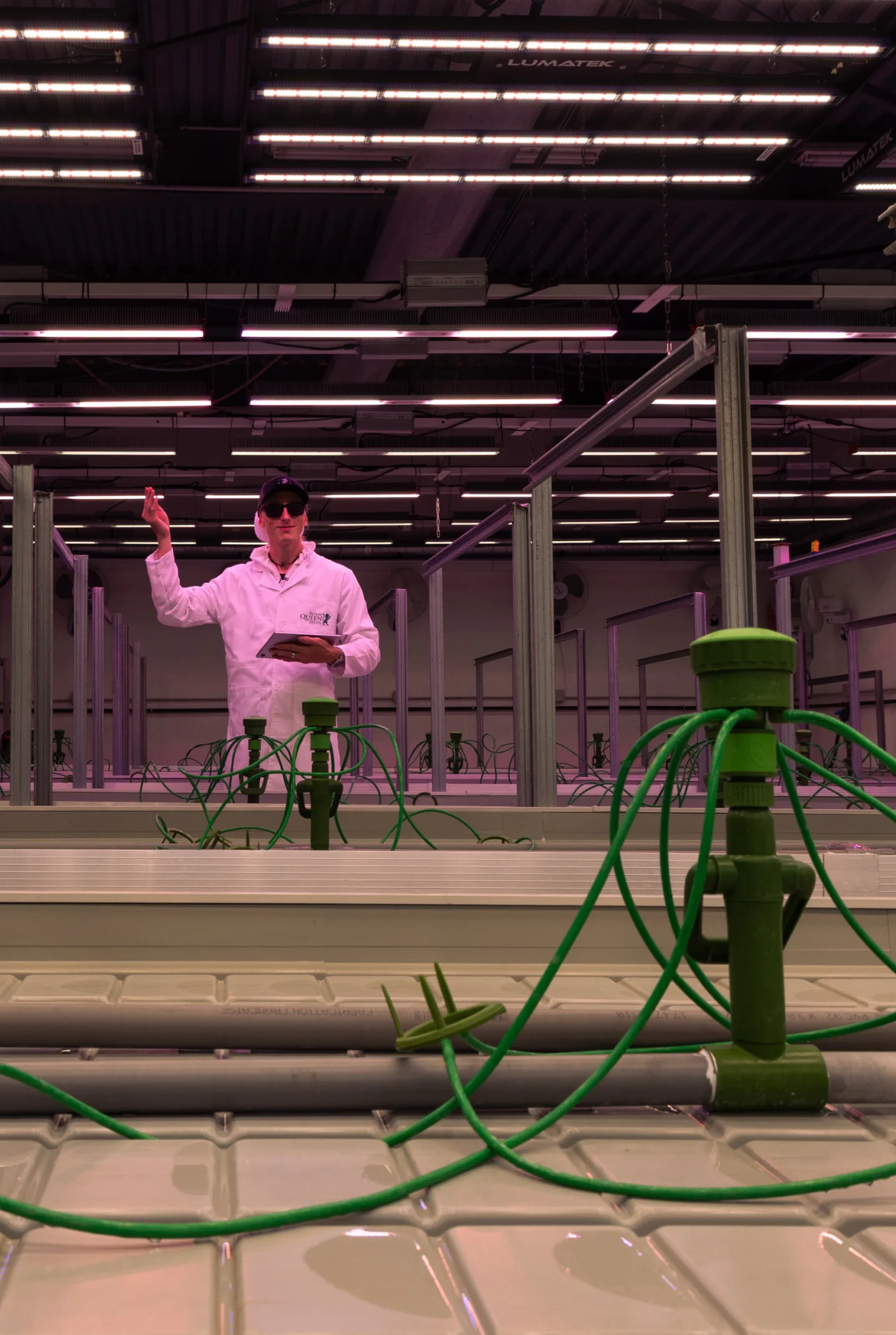 Anbauraum-Setup für Cannabis-Crop-Steering Kontrollierter Cannabis-Anbauraum, vorbereitet für Crop-Steering-Versuche, mit Bewässerungstropfern, Hydrokultur-Bänken, Decken-Growlights und einem Forscher, der den Aufbau überwacht.