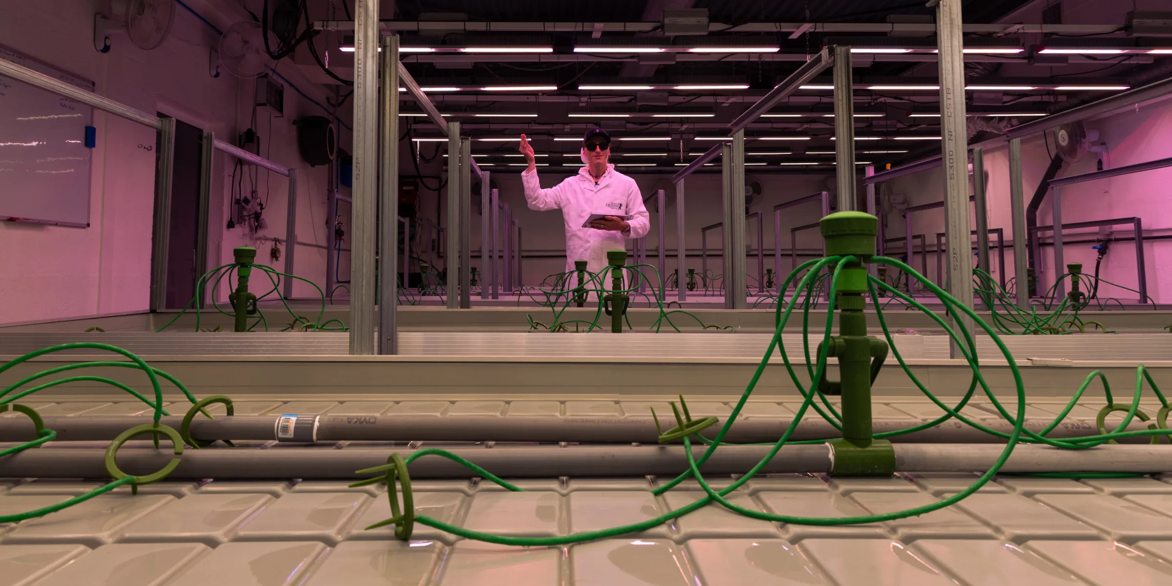 Anbauraum-Setup für Cannabis-Crop-Steering Kontrollierter Cannabis-Anbauraum, vorbereitet für Crop-Steering-Versuche, mit Bewässerungstropfern, Hydrokultur-Bänken, Decken-Growlights und einem Forscher, der den Aufbau überwacht.