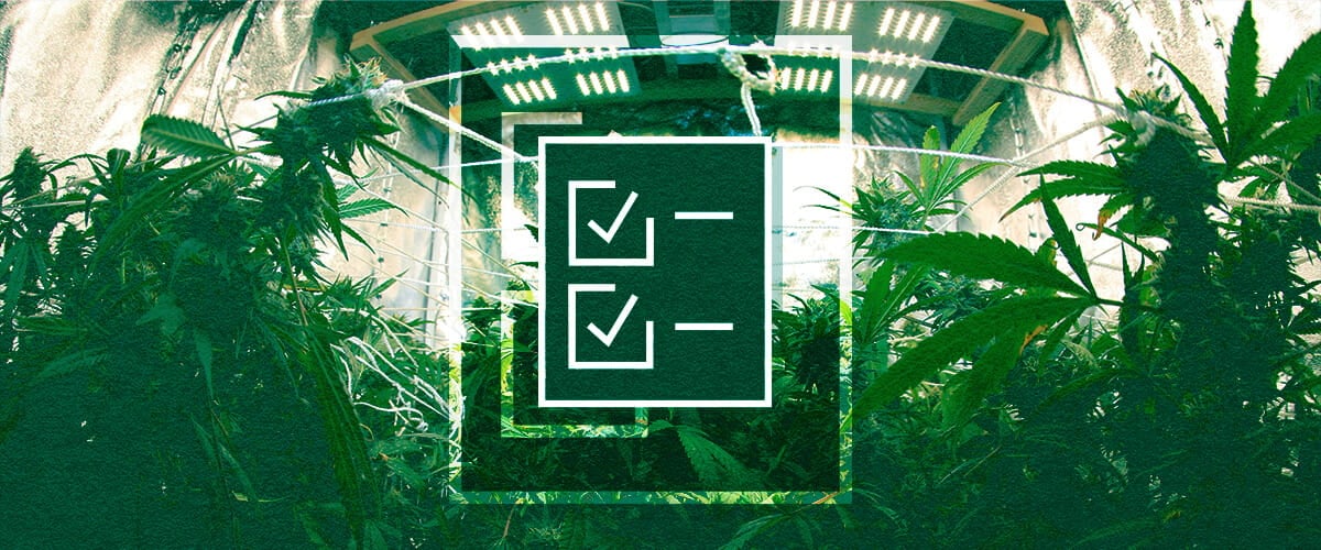 Checkliste für die Growzelt-Ausrüstung: Beleuchtung, Belüftung, Timer & Strom Checkliste für die Growzelt-Ausrüstung für Anfänger: Sichern Sie Ihren Erfolg mit der notwendigen Beleuchtung, Belüftungssystemen, Timern und Controllern sowie dem Energiemanagement für Ihren Indoor-Garten.