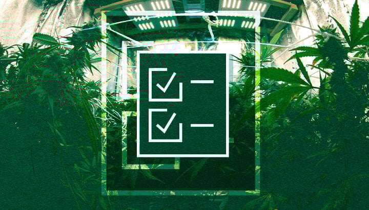 Checkliste für die Growzelt-Ausrüstung: Beleuchtung, Belüftung, Timer & Strom Checkliste für die Growzelt-Ausrüstung für Anfänger: Sichern Sie Ihren Erfolg mit der notwendigen Beleuchtung, Belüftungssystemen, Timern und Controllern sowie dem Energiemanagement für Ihren Indoor-Garten.