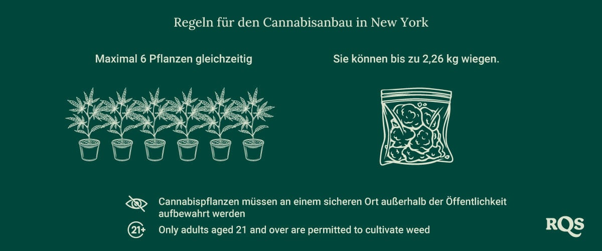 Growing weed in New York rules
