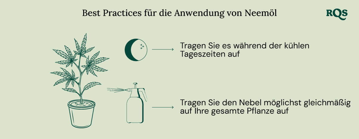 How to apply neem oil