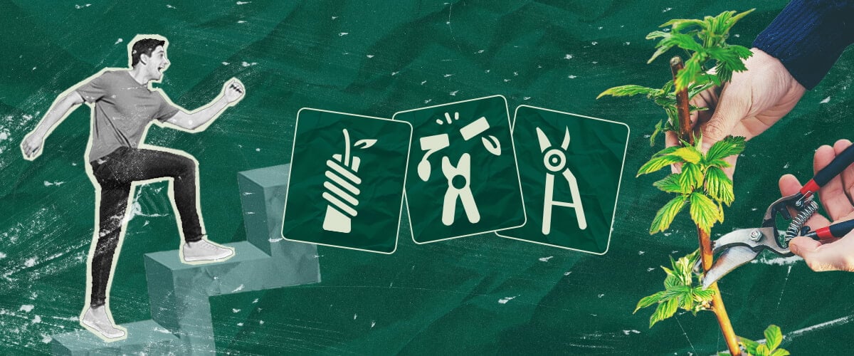 Cannabispflanzen Veredeln: Ihre Schritt-für-Schritt-Anleitung Erfahren Sie, wie Sie Cannabispflanzen veredeln können – mit unserer Schritt-für-Schritt-Anleitung. Entdecken Sie die benötigte Ausrüstung, wie Sie die beste Unterlage und den besten Edelreiser auswählen, und folgen Sie unserem Veredelungstutorial.