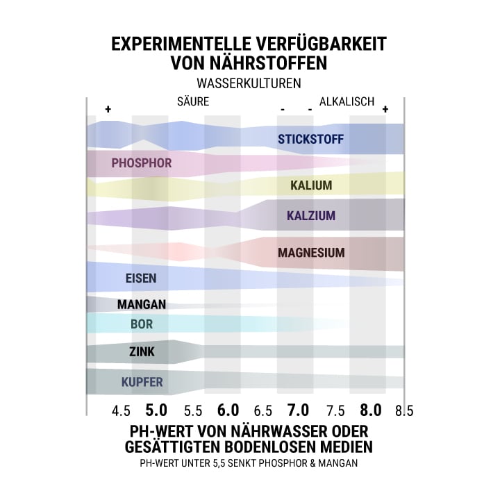 Experimentelle Verfügbarkeit Von Nährstoffen Wasserkulturen