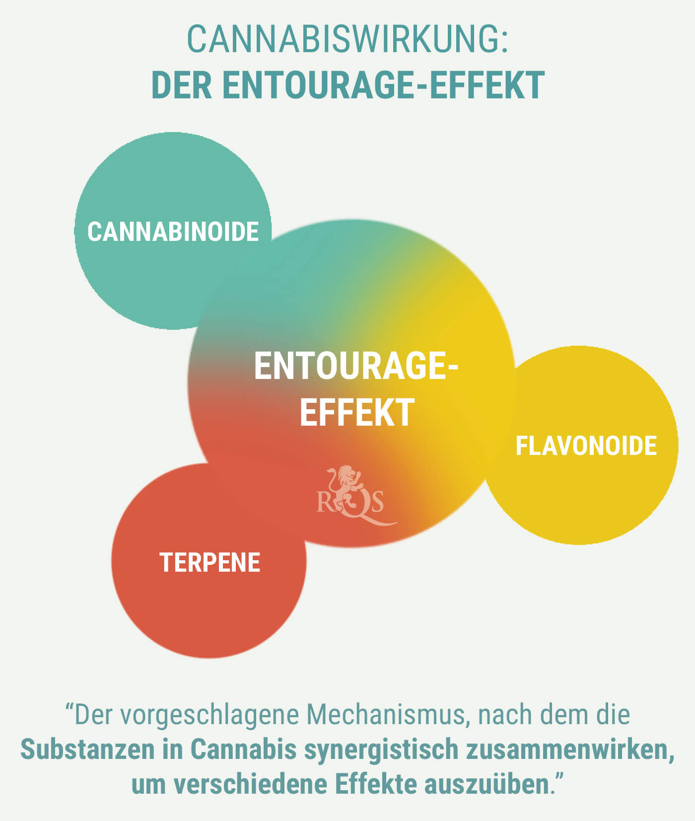 ERZEUGEN INDICA UND SATIVA EINE UNTERSCHIEDLICHE WIRKUNG? ERZEUGEN INDICA UND SATIVA EINE UNTERSCHIEDLICHE WIRKUNG?