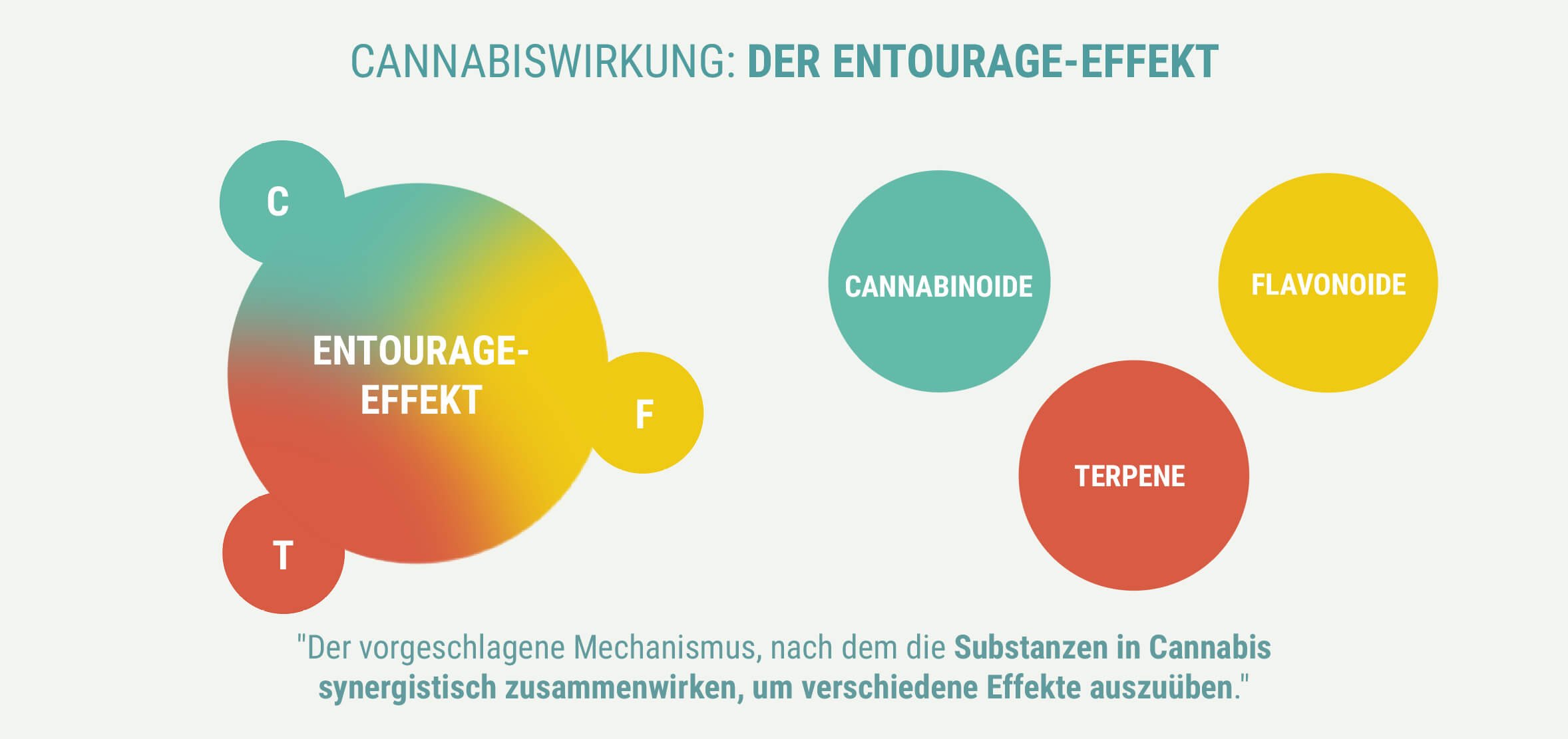 ERZEUGEN INDICA UND SATIVA EINE UNTERSCHIEDLICHE WIRKUNG?