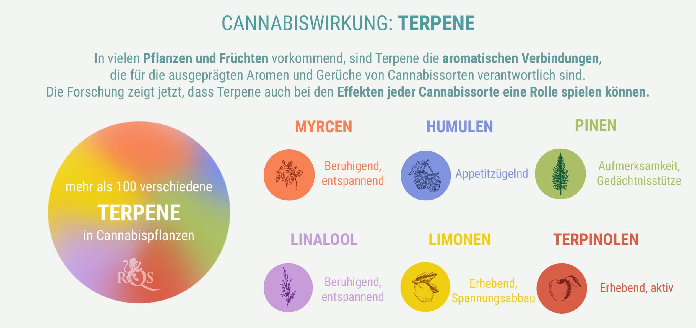 SPEZIELLE MISCHUNGEN AUS INDICA UND SATIVA