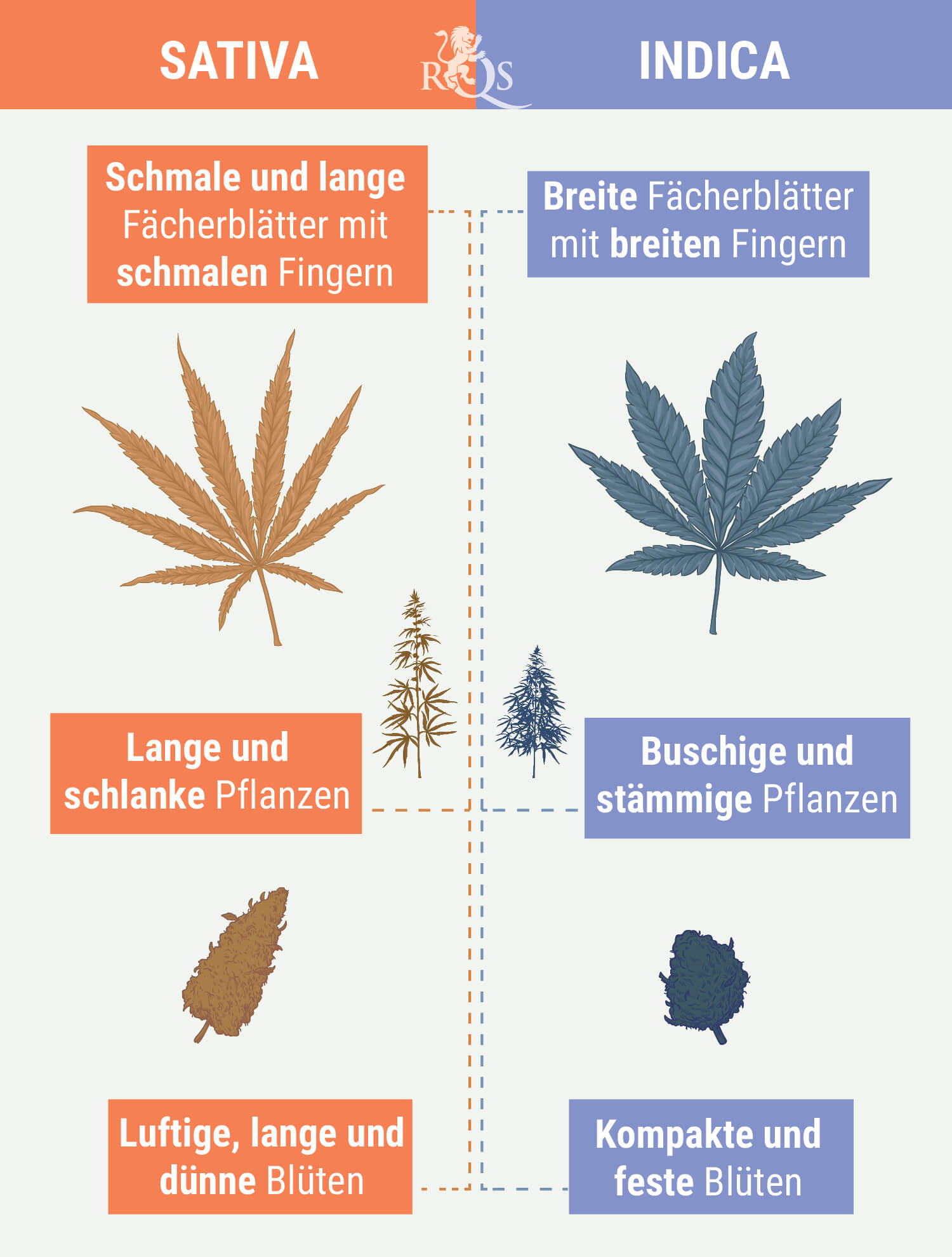 INDICA UND SATIVA UNTERSCHEIDEN