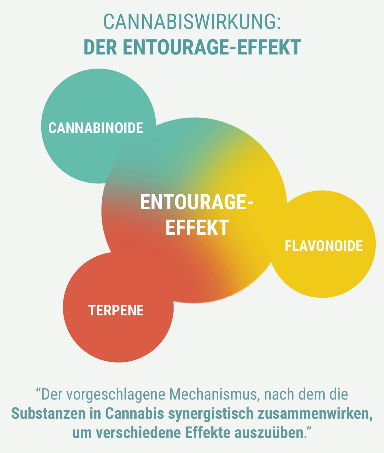 ERZEUGEN INDICA UND SATIVA EINE UNTERSCHIEDLICHE WIRKUNG?