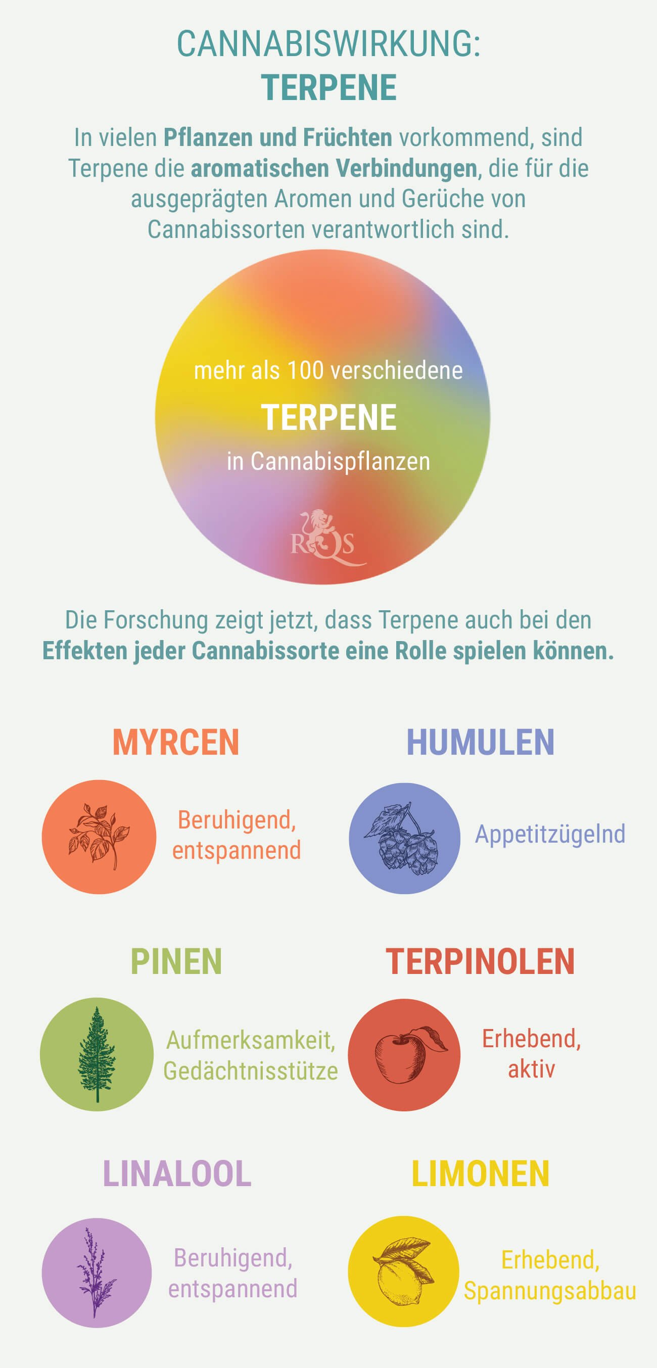 SPEZIELLE MISCHUNGEN AUS INDICA UND SATIVA