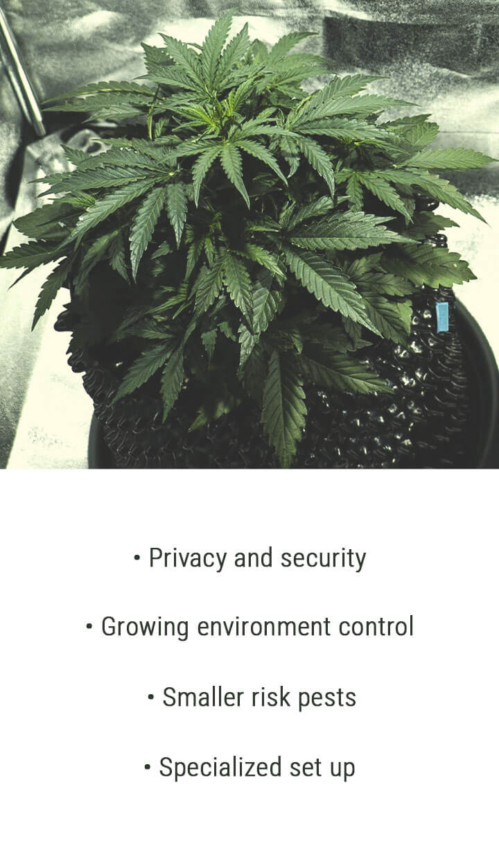 INDOOR INDOOR