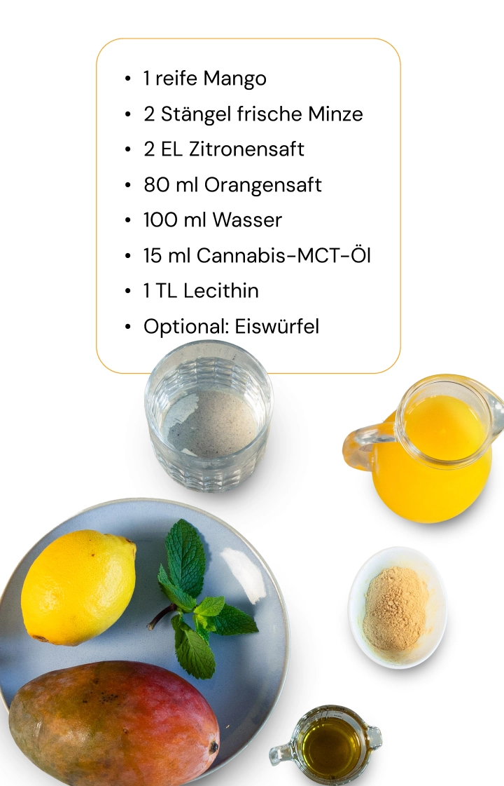 So bereitest du einen Cannabis-Smoothie mit Mango, Zitrusfrüchten und Cannabis-MCT-Öl zu Zutaten für einen Cannabis-Smoothie mit Mango, Zitrone, Minze, Orangensaft, Wasser, Cannabis-MCT-Öl und Lecithin, auf weißem Hintergrund angeordnet.