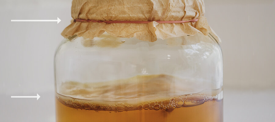 Kombucha und Cannabis