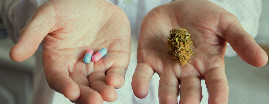 medizinische Cannabis Tasmanien Australien Legalisierung medizinische Cannabis Tasmanien Australien Legalisierung