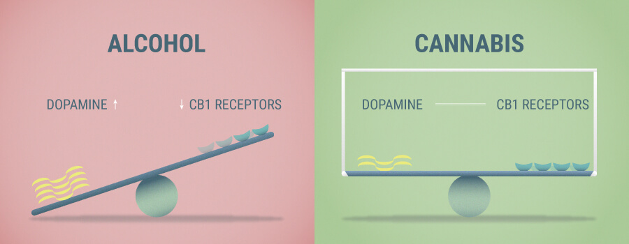Alkohol und Cannabis-Effekte Alkohol und Cannabis-Effekte