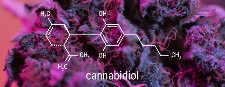 CBD Ratio Concentratie CBD Ratio Concentratie