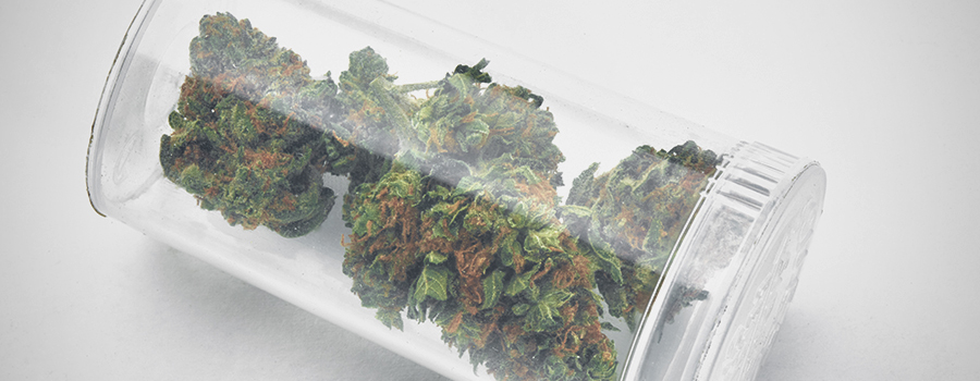 Cannabis Bud Medicinal Für Die Behandlung Von Diabetes Cannabis Bud Medicinal Für Die Behandlung Von Diabetes