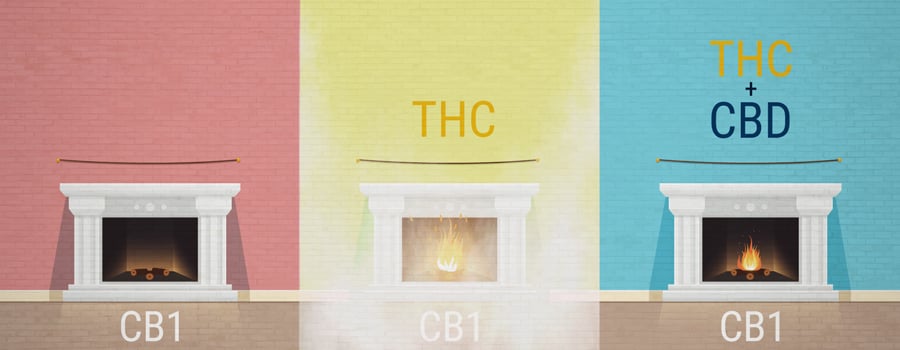 Der Entourage-Effekt auf Cannabis THC CBD