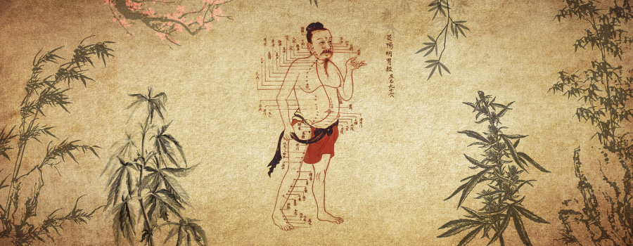 Cannabis In Der Traditionellen Chinesischen Medizin Akupunktur