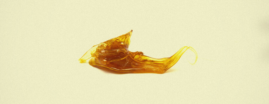 Extraktion mit pflanzlichem Glyzerin Extraktion mit pflanzlichem Glyzerin