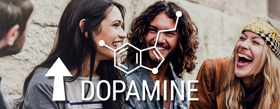 Serotonin Und Dopamin Cannabis Serotonin Und Dopamin Cannabis