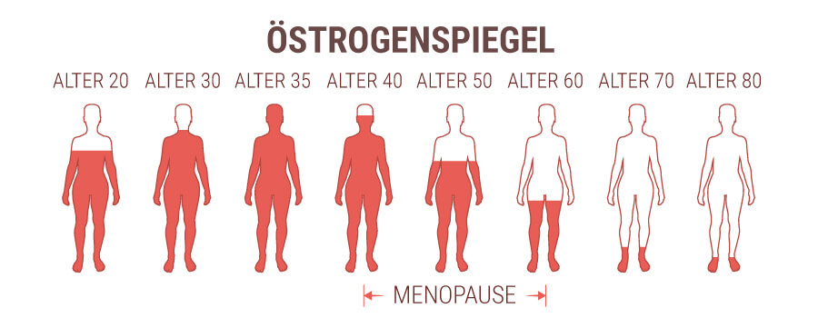 Östrogen-Hormon-Ebene Östrogen-Hormon-Ebene