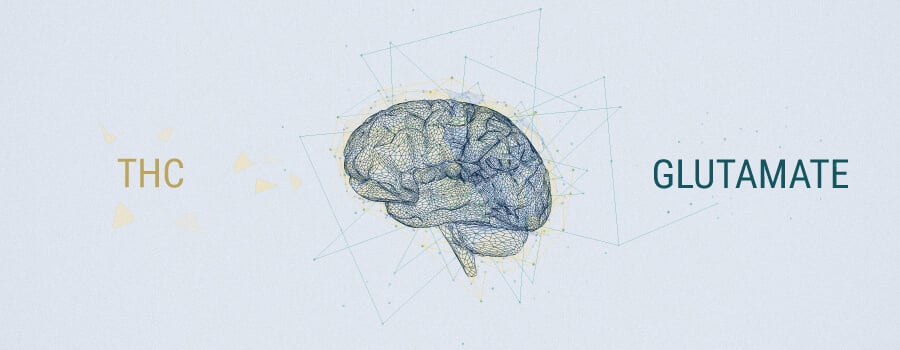 Neurotransmitter und Cannabis