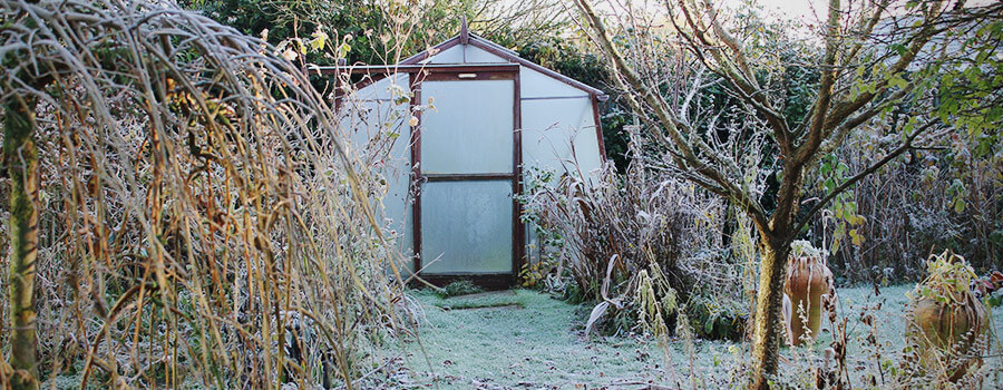 GreenHouse Winterbedingungen GreenHouse Winterbedingungen
