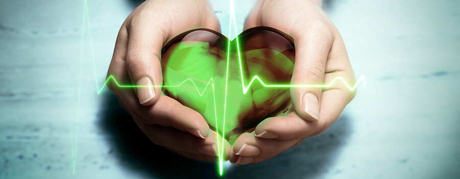 Herz-Hypertension Cannabis Herz-Hypertension Cannabis