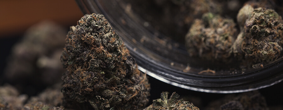 Glas Cannabis, Um Es Zu Speichern