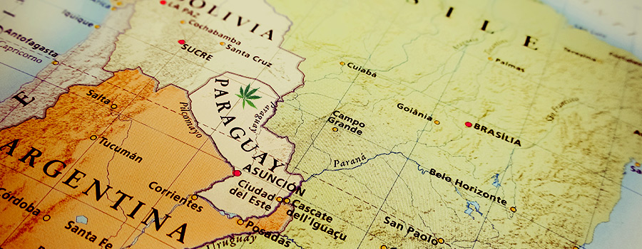 Paraguay Südamerika Cannabis-Gesetzgebung Paraguay Südamerika Cannabis-Gesetzgebung