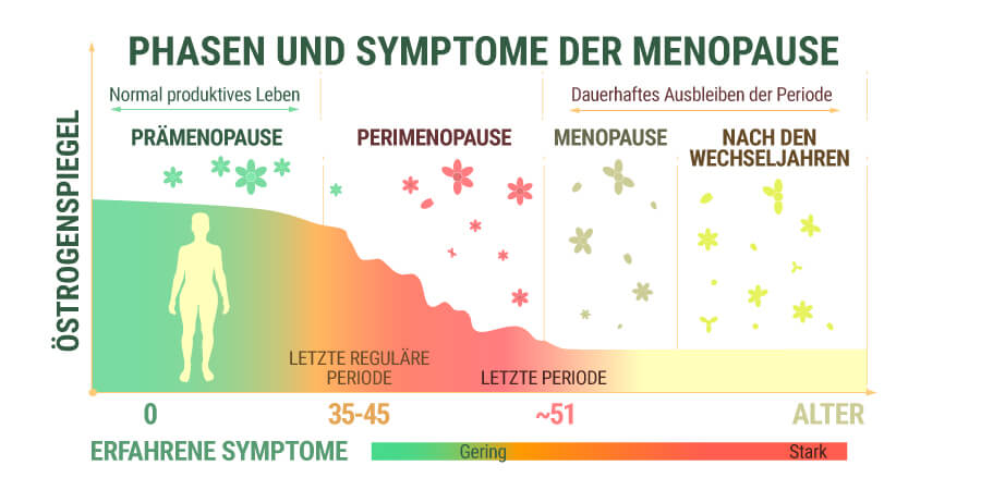 Stadien und Symptome der Menopause
