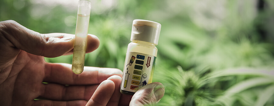 Bittersalz und PH von Wasser Cannabis Anbau Bittersalz und PH von Wasser Cannabis Anbau
