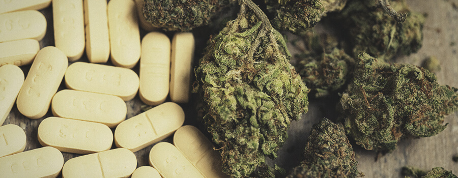 Ibuprofeno vs Cannabis zur Bekämpfung von Entzündungen Ibuprofeno vs Cannabis zur Bekämpfung von Entzündungen