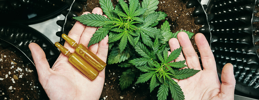 Medikamente für Kinder CBD Medikamente für Kinder CBD