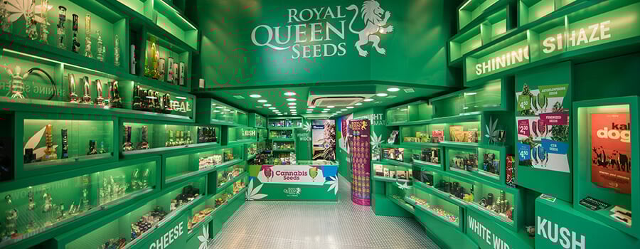 Cannabis-samen-geschäft Der Royal Queen Seeds In Barcelona Cannabis-samen-geschäft Der Royal Queen Seeds In Barcelona