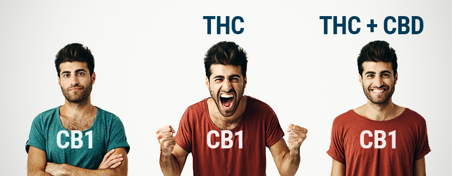 WHO THC und CBD